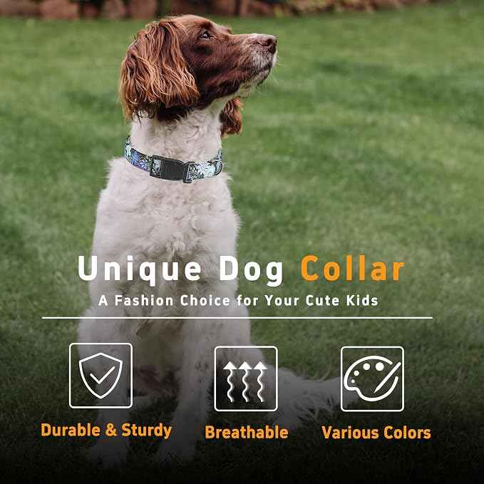 Dog Collar for Boys & Girls, Puppy Collar for Small to Large Dogs, Adjustable
