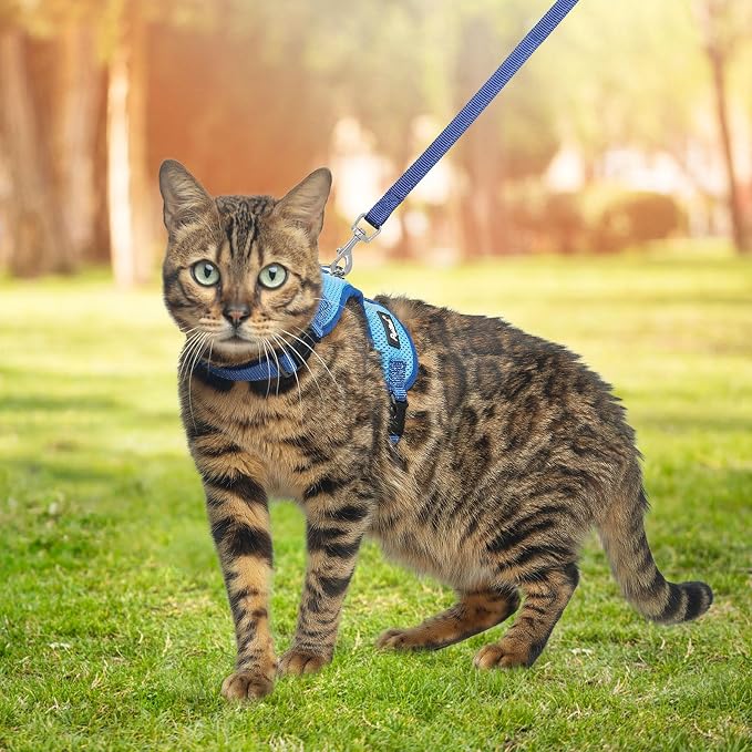 PUPTECK Cat Harness and Leash Set Escape Proof, Reflective Adjustable Soft Mesh - Image 6
