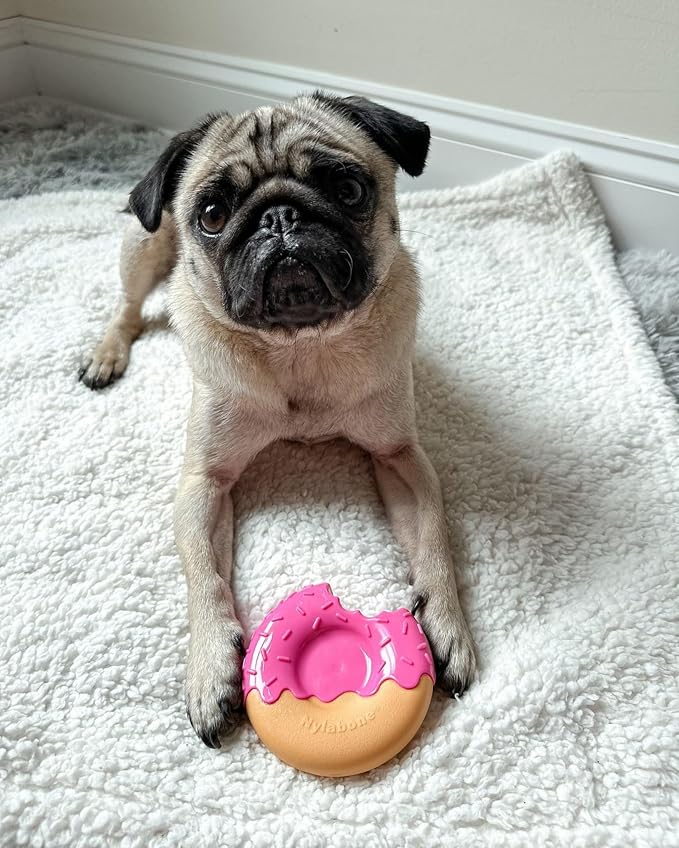 Nylabone Donut Power Chew Toy for Dogs, Dog Toys for Aggressive Chewers - Image 8
