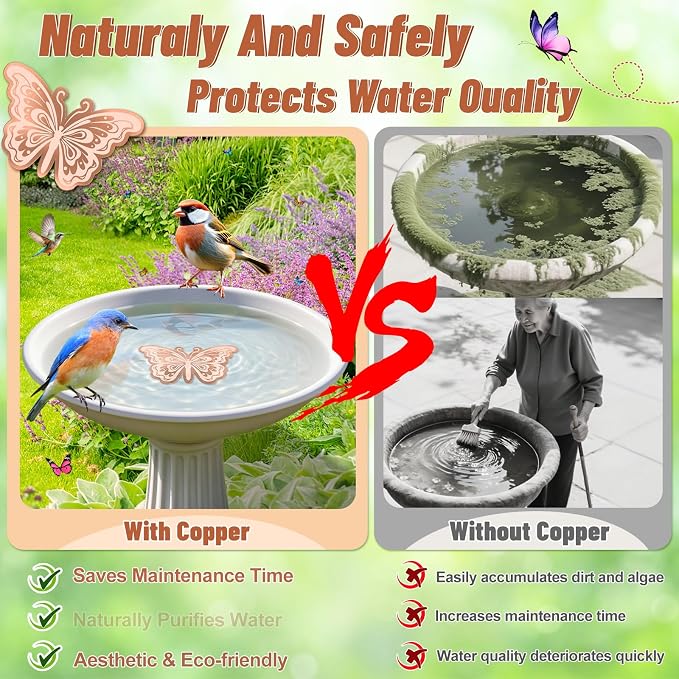 Bird Bath Copper Disk, 0.6mm Reinforced 99.9% Pure Copper Cleaning Disk - Image 4