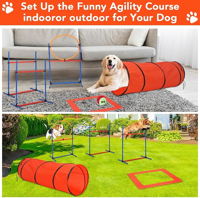 Garvee Dog Agile Training Equipment Set Outdoor Indoor, Weave Poles, Pause Box - Image 5