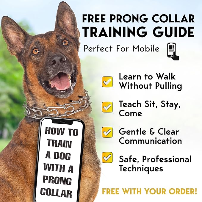 PetJett ProTrainer Prong Collar - Image 7
