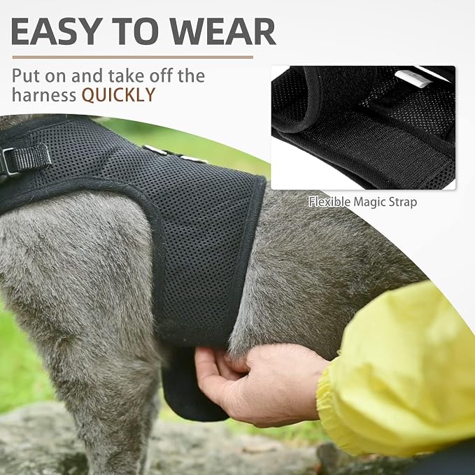 PUPTECK Soft Mesh Cat Vest Harness and Leash Set Puppy Padded Pet Harnesses - Image 5