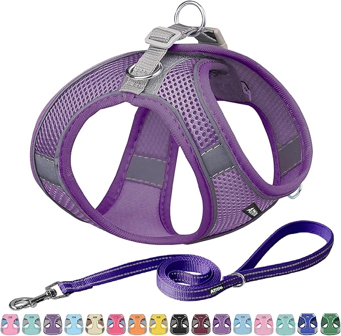 AIITLE Small Harness for Puppy by AIITLE-FORPETSBETTERLIFE