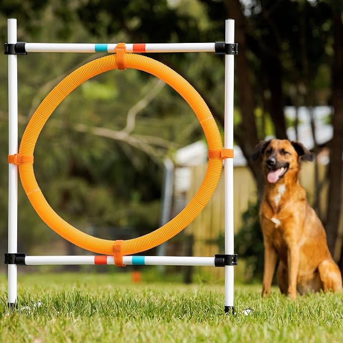 Midlee Dog Agility Hoop Jump - Image 6
