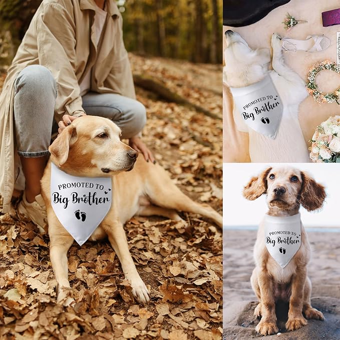Promoted to Big Brother Pregnancy Announcement Dog Bandana Baby Announcement - Image 6