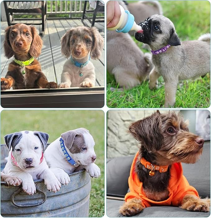 Puppy Collars, Soft Nylon Litter Identification Dog Collars - Image 5
