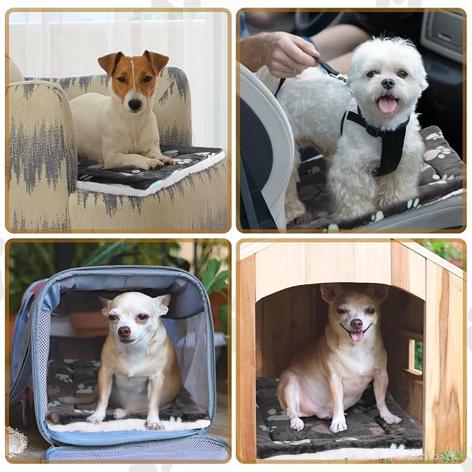 Tuanse 4 Pack Ultra Soft Dog Cat Bed Mat Small Animal Guinea Pig Bed - Image 6