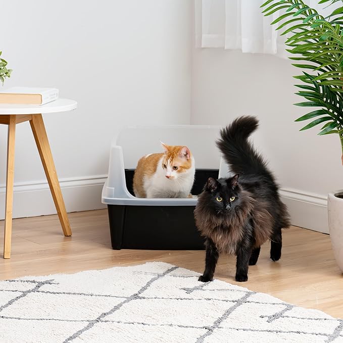 IRIS USA XX-Large Cat Litter Box, Open Top Extra Large Litter Box - Image 3