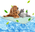 NWK Pet Cooling Mat -39’’ X 27’’ Ice Silk Cooling Mat by NWK