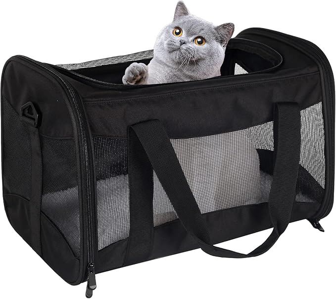 Cat Carrying Case by home