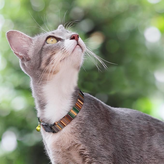 Cat Collars 2 Pack - Image 5