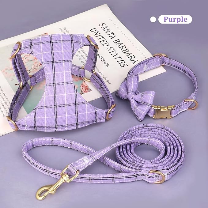 Beirui Cute Small Dog Harness Collar and Leash Set - Image 2
