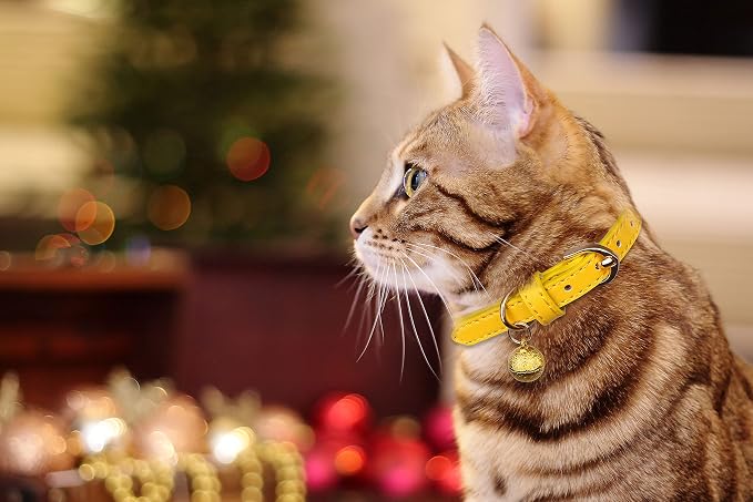 3 Pack Leather Cat Collars - Image 6
