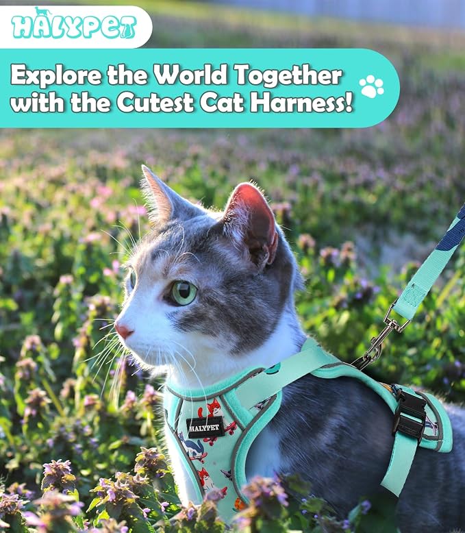 Halypet Cat Harness and Leash Set Cute Escape Proof Vest Harness - Image 2