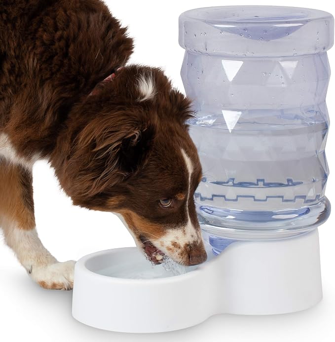 PetFusion H2O Gravity Pet Water Dispenser. Durable 2.5 Gallon Waterer Feeder. - Image 7