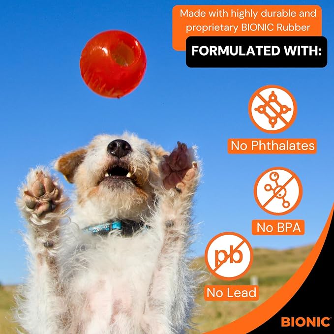 BIONIC Ball Dog Toy, Small - Image 4