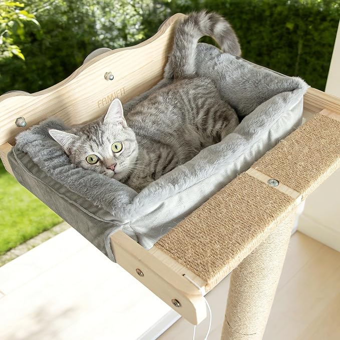 Cat Window Perch with Scratching Post, Bird Watching, Supports 45 lbs - Image 2