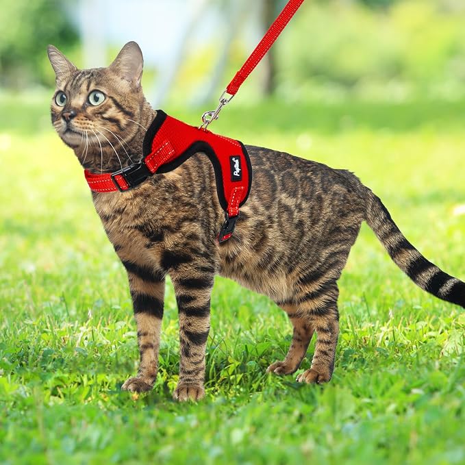 PUPTECK Cat Harness and Leash Set Escape Proof, Reflective Adjustable Soft Mesh - Image 6
