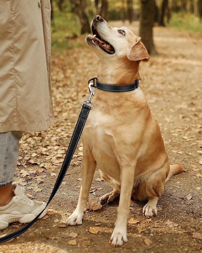 TagME Reflective Nylon Dog Collars, Adjustable Classic Pet Collar - Image 2