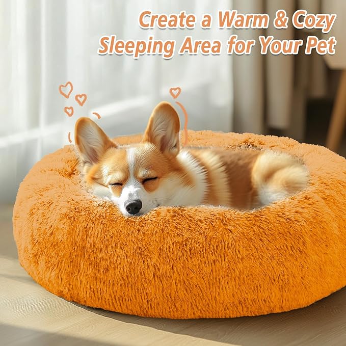 JOLLYVOGUE Calming Dog Bed for Small Dogs - Image 4
