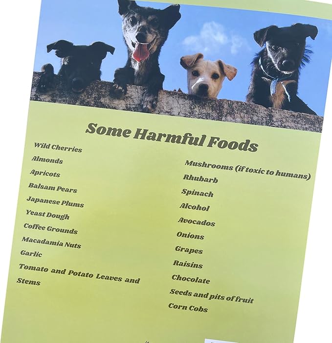 Groomers Margins Puppy Information Folders - Image 3