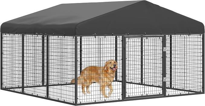 Outdoor Dog Kennel Steel for Medium/Small Dogs Anti-Rust Coating Cage by Petony