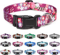 Mercano Adjustable Dog Collar by Unknown