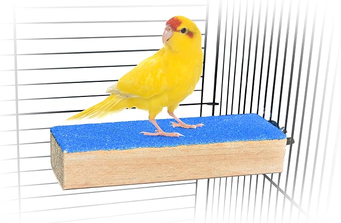 Spoiled Pet® Bird Cage Perch Stand 2-Pack by Great1