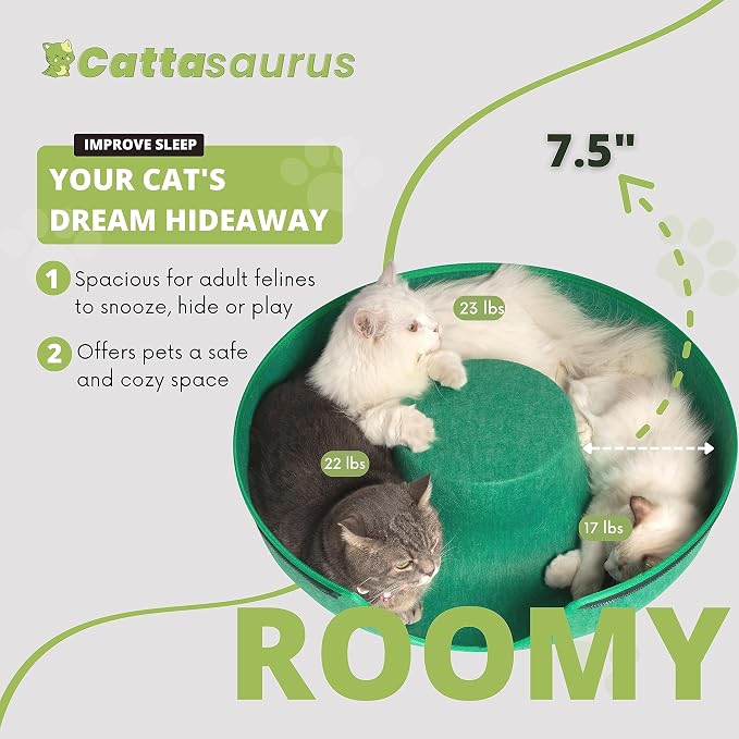 Cattasaurus Peekaboo Cat Cave Donut - Image 5