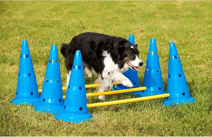 Midlee Dog Cone & Pole Agility Set- Adjustable Big to Small Dogs- Set of 3 - Image 7