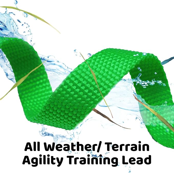 Long Dog Puppy Obedience Recall Training Agility Lead, Leash - Image 4