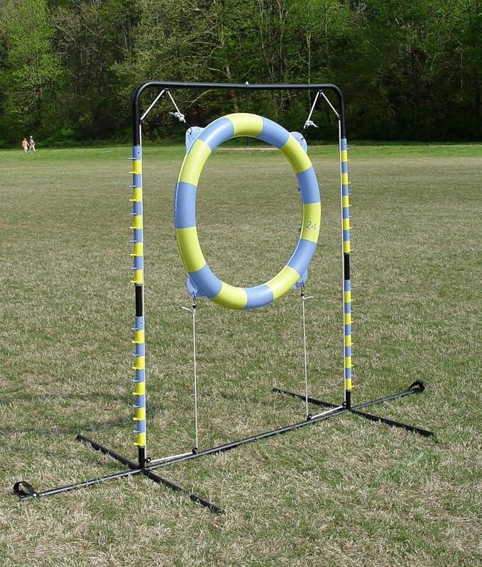 Agility Tire Jump - Image 3