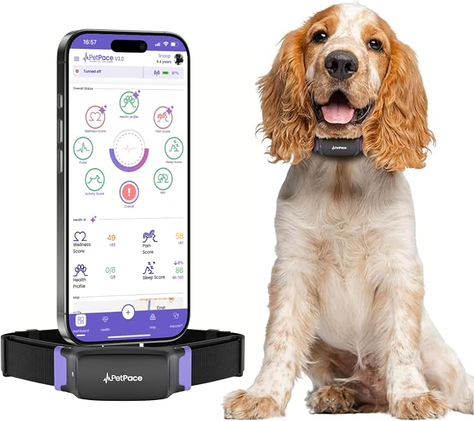 V3.0 Dog Health Monitor – AI Health Collar by PetPace30AiHealthCollar
