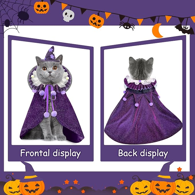 KOUPA Pet Halloween Costume - Image 5