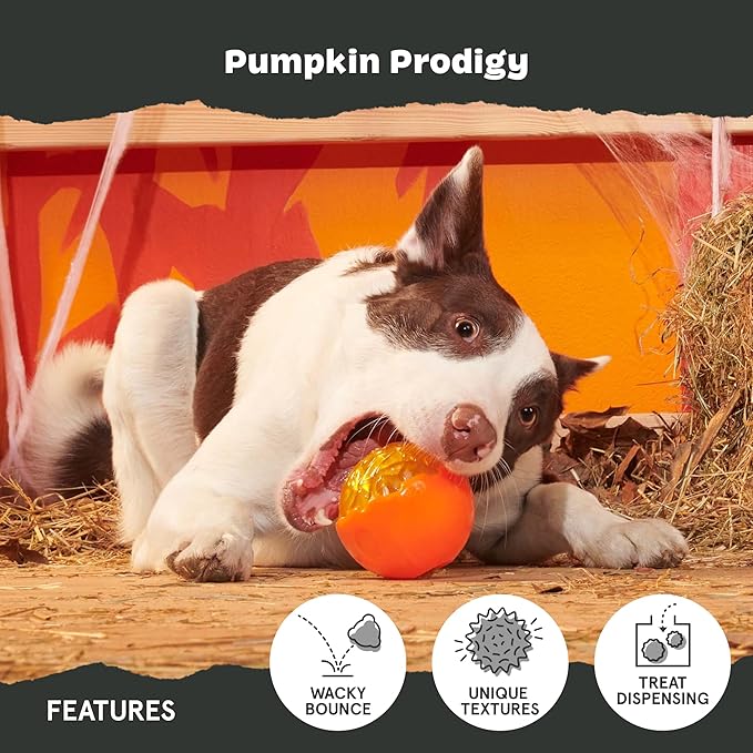 Barkbox Pumpkin Prodigy Dog Toy | Treat-Dispensing Rubber Dog Toy - Image 3
