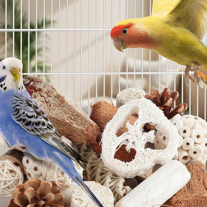Kyouki Bird Toys Parrot Toys Natural Bird Foraging Box Foot - Image 5