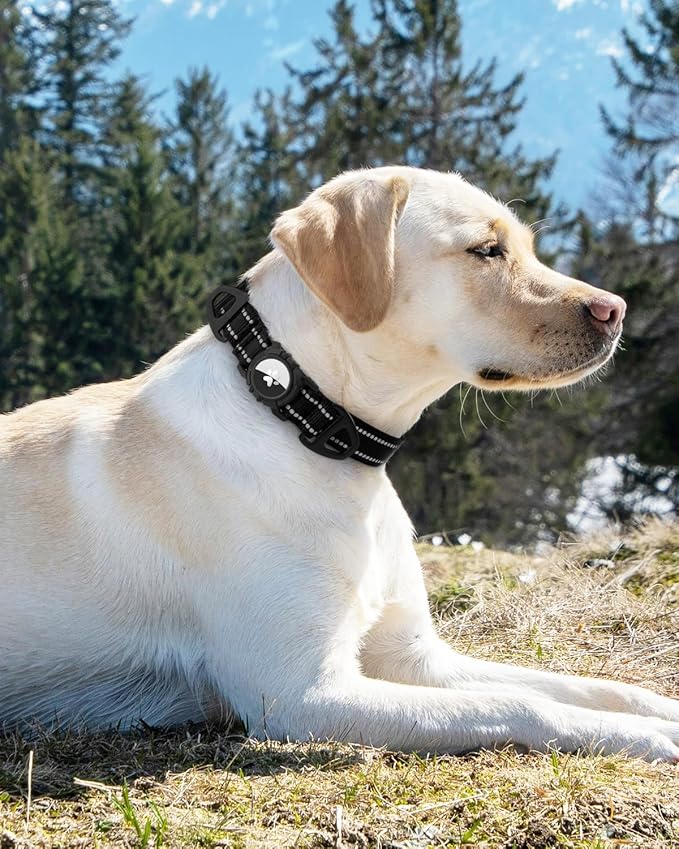 Joytale Airtag Dog Collar, Dual D-Rings, Waterproof Reflective Pet Collar - Image 8