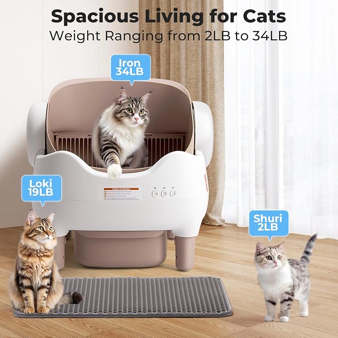 Automatic Litter Box Open Top: Self Cleaning Cat Litter Box Smart - Image 5