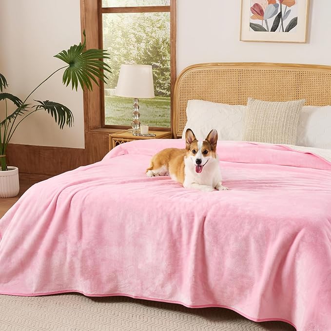 Sunheir Waterproof Blanket for Queen Size Bed by SUNHEIR