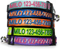 Pawtitas Personalized Green Reflective Cat Collar – Adjustable Custom Collar by Pawtitas
