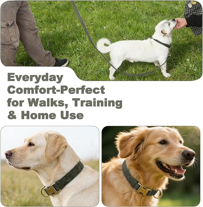 Genuine Leather Dog Collar - Image 6