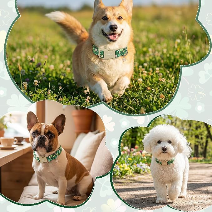 St. Patrick's Day Dog Collar, Adjustable Spring Cotton Collars Gifts - Image 5