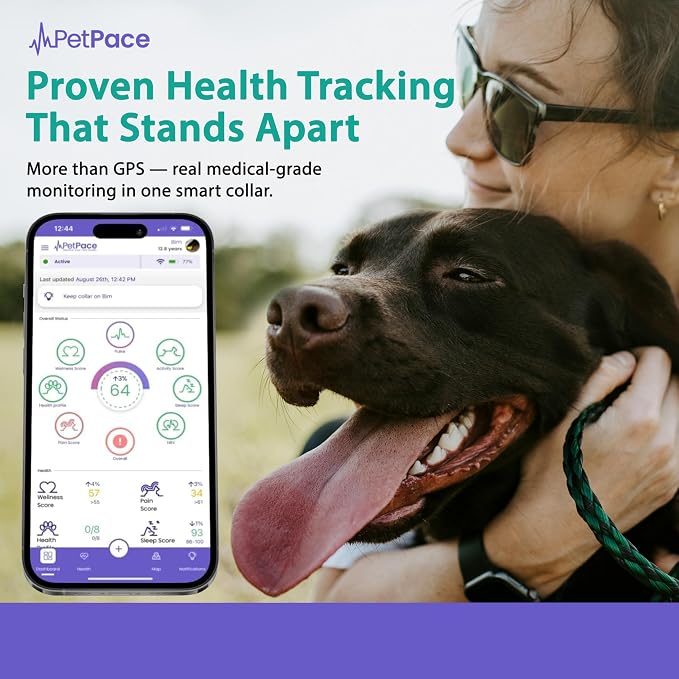 V3.0 Dog Health Monitor – AI Health Collar - Image 7