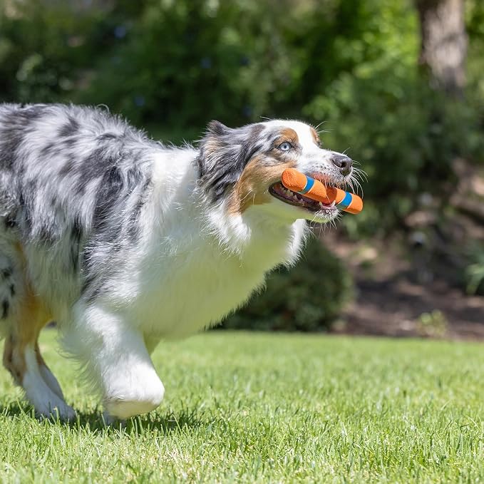 Chuckit! Interactive Dog Toy Ultra Fetch Stick Day & Night Bundle, 12 Inches - Image 5