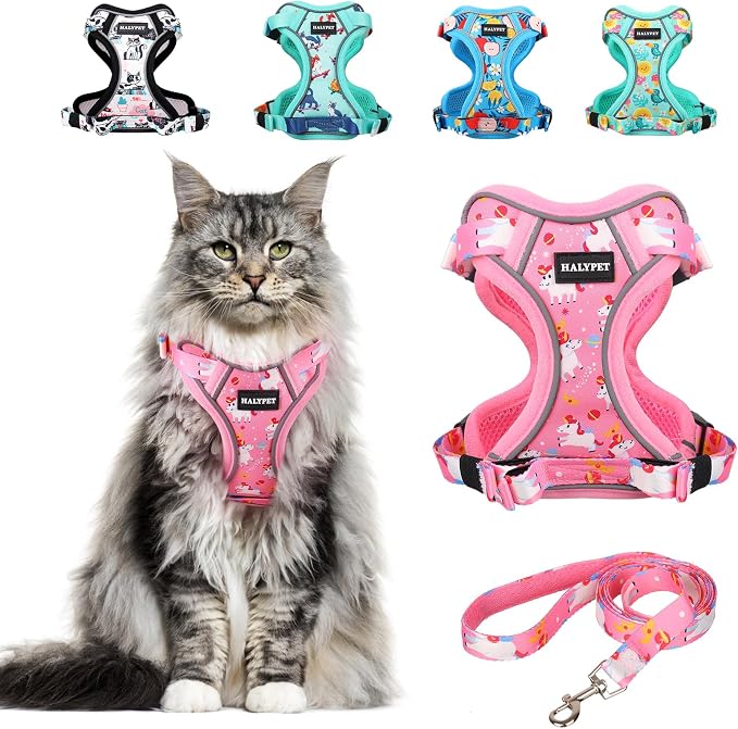 Halypet Cat Harness and Leash Set Cute Escape Proof Vest Harness by DOMoreWithYourPet