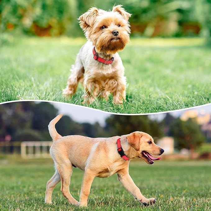 Reflective Dog Collar Padded