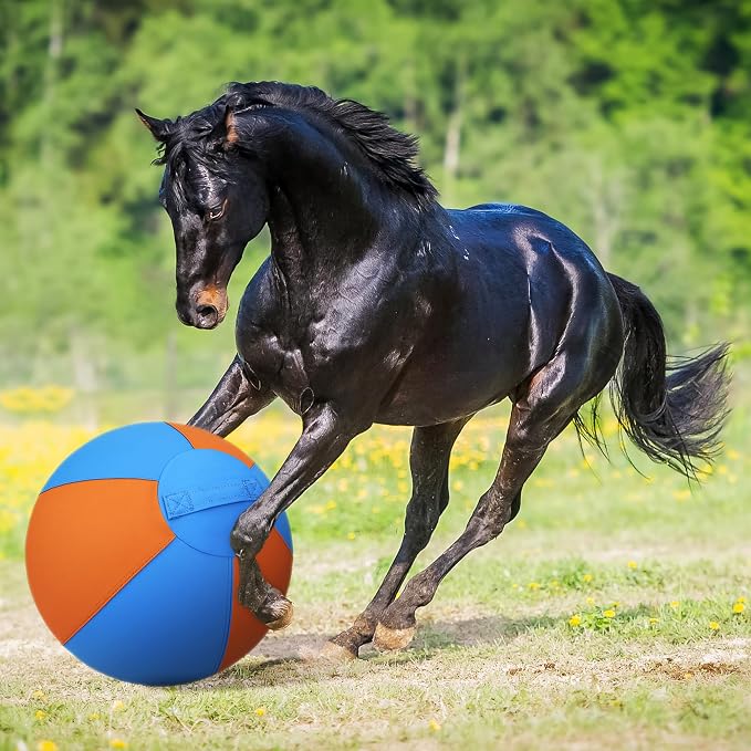 Herding Ball for Dogs and Horses - Image 9
