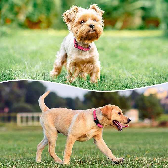 Reflective Dog Collar Padded