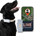 PAJ GPS Tracker for Dogs - 4G GPS Collar Tag - Waterproof & Up to 10 Days by PAJGPS